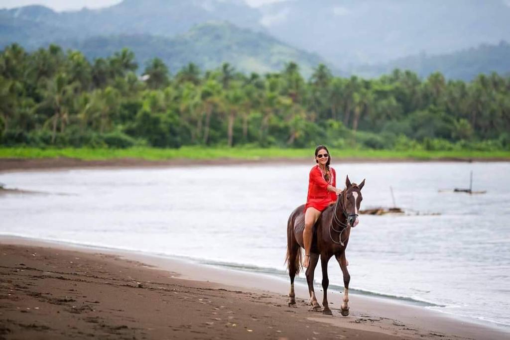 Poolside Deluxe King